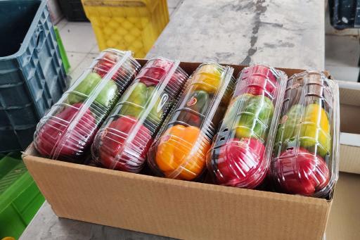 عکس شرکت تعاونی کشاورزی حامی گلخانه داران نجف آباد 