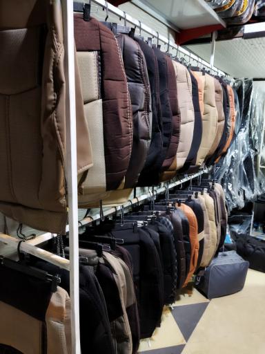 عکس ایلیا اسپرت