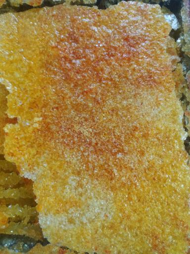 عکس پولک و نبات مجید