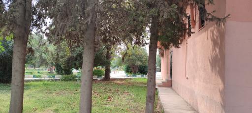 عکس بوستان فجر