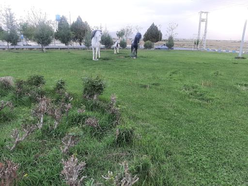 عکس پارک لاله 2