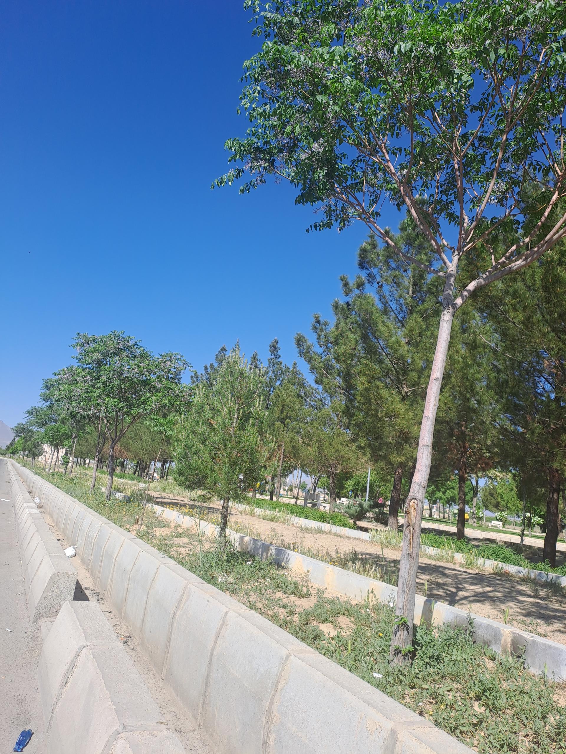 عکس پارک لاله 2