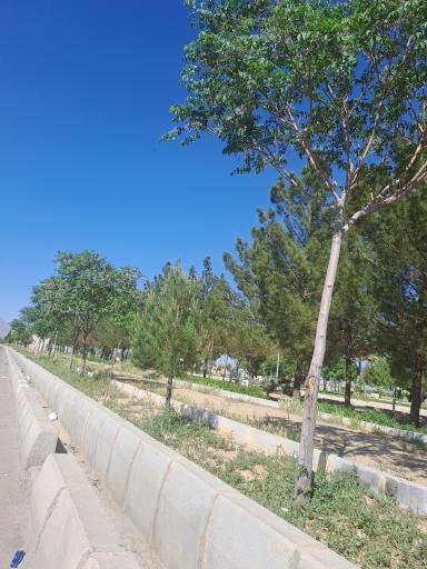 عکس پارک لاله 2