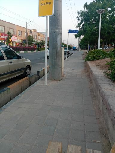 عکس امام رضا  12