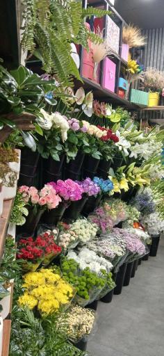 عکس گل مهدی