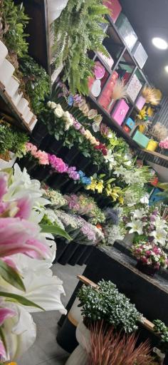 عکس گل مهدی