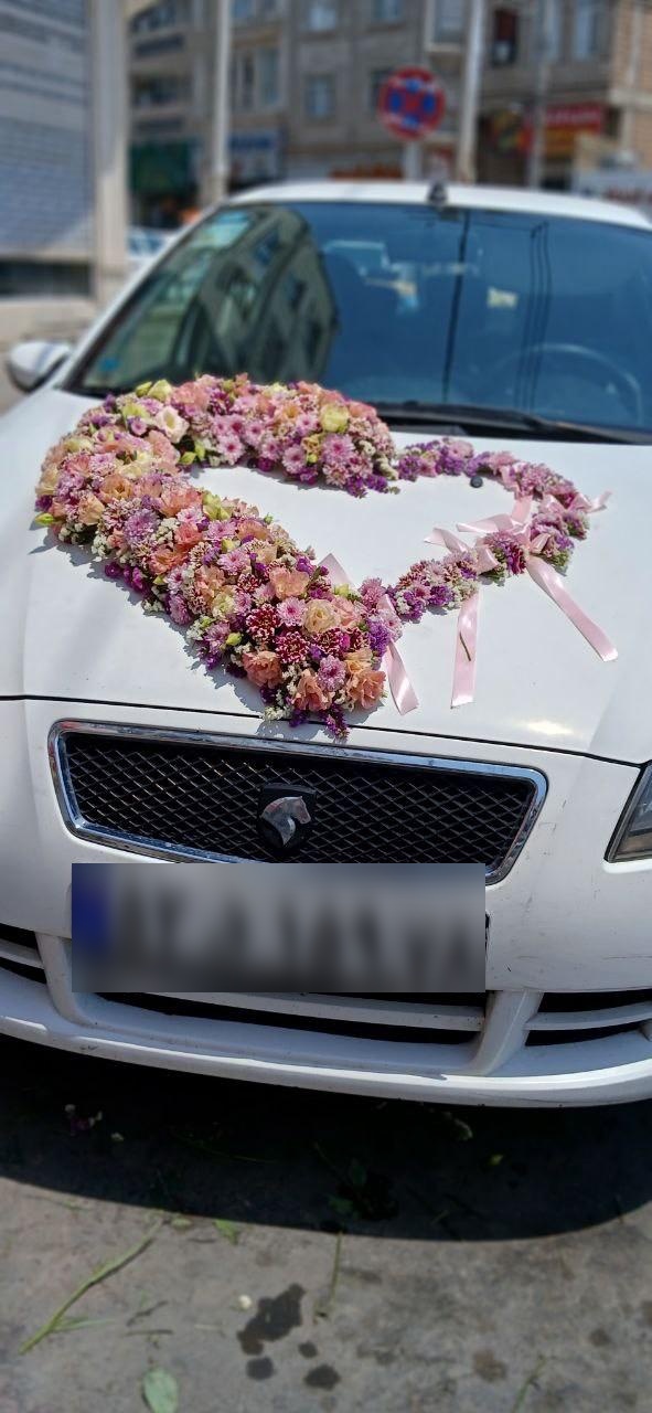 عکس گل مهدی