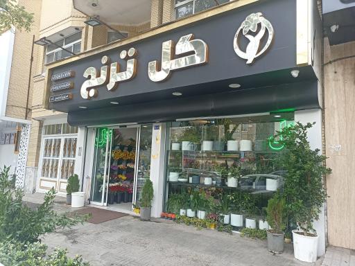 عکس گل سرای ترنج