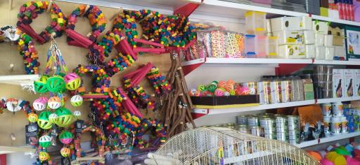 عکس فروشگاه طوطی پلاس