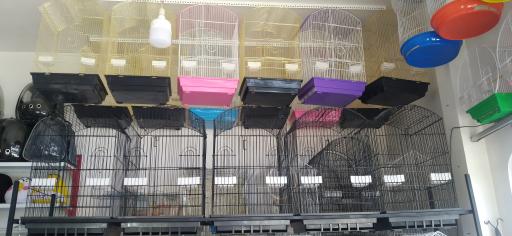 فروشگاه طوطی پلاس