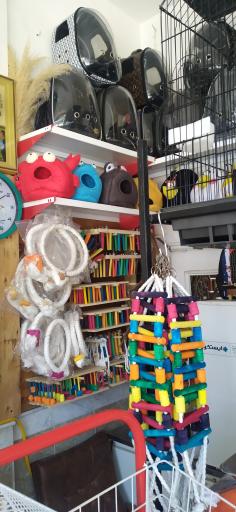 عکس فروشگاه طوطی پلاس