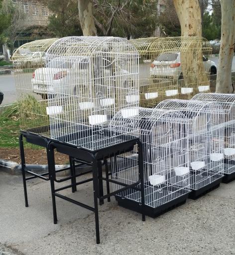 عکس فروشگاه طوطی پلاس