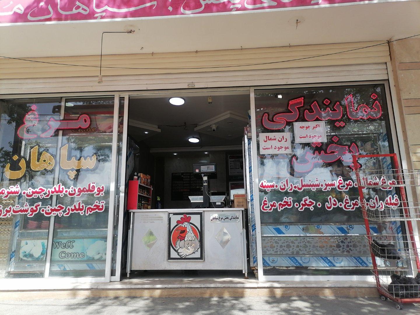 عکس مرغ سپاهان
