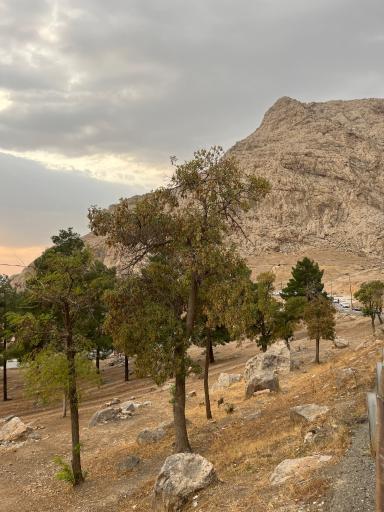 عکس مجموعه توریستی تفریحی زیپ لاین کرمانشاه 