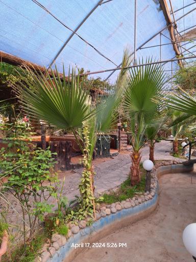 عکس رستوران وتفرج گاه کیوان سبز