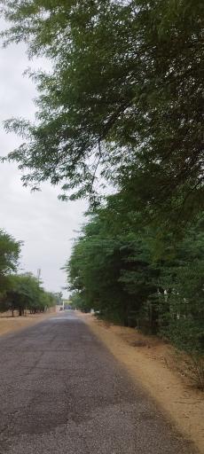 عکس سالن ورزشی راه آهن 