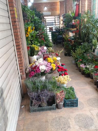 عکس گلفروشی تره بار مجیدیه 
