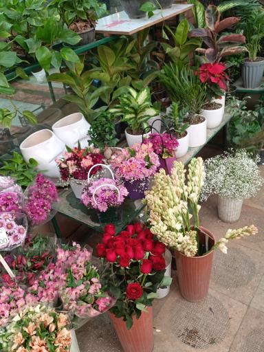 عکس گلفروشی تره بار مجیدیه 