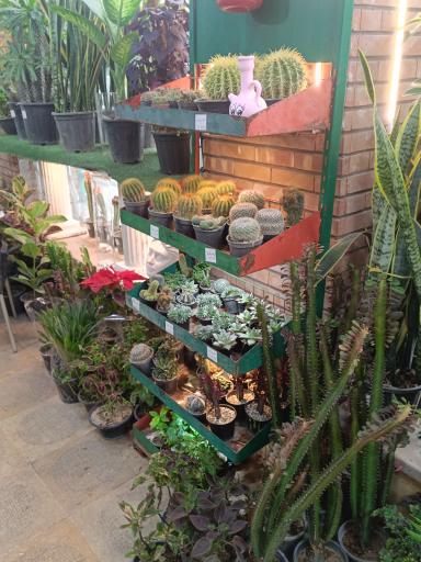 عکس گلفروشی تره بار مجیدیه 