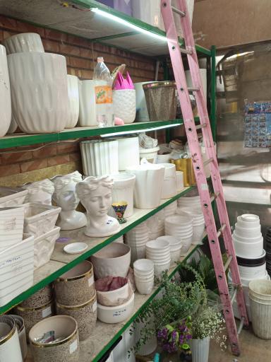 گلفروشی تره بار مجیدیه 