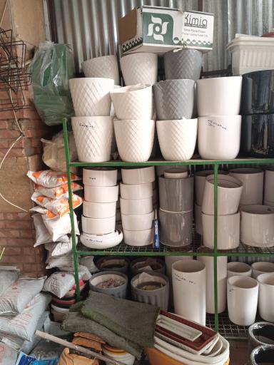 گلفروشی تره بار مجیدیه 