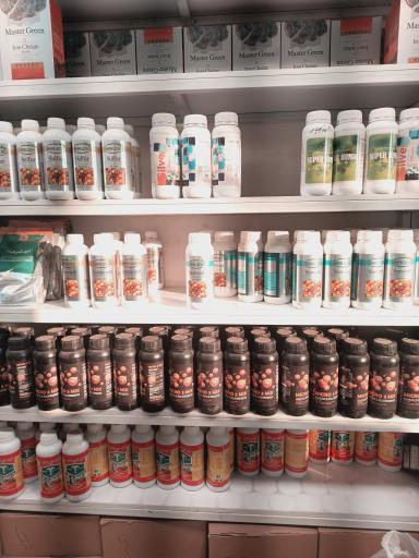 عکس گلفروشی تره بار مجیدیه 