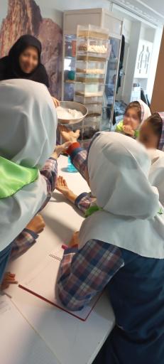 عکس تجربستان کاوک