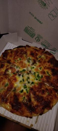 عکس پیتزا پایتخت