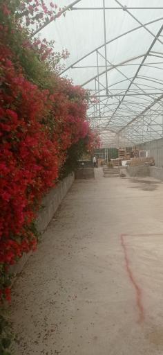 رستوران وتفرج گاه کیوان سبز