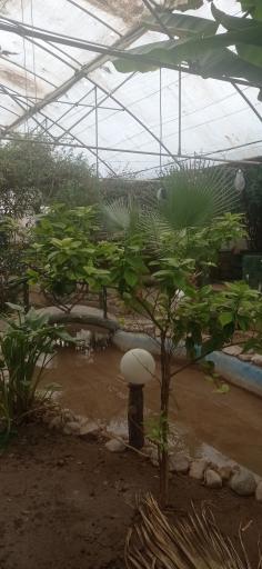 رستوران وتفرج گاه کیوان سبز