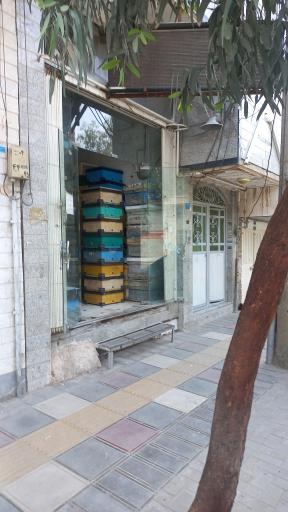 زنبورکده بامار