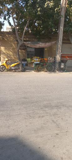 میوه فروشی کیانی 