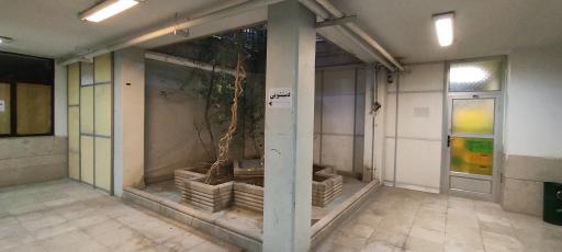 عکس مسجد امام علی (ع)