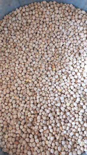 عکس لبنیات سنتی اصالت