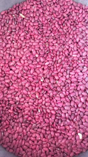 عکس لبنیات سنتی اصالت