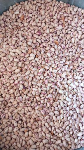 عکس لبنیات سنتی اصالت