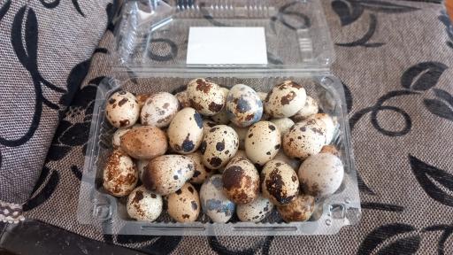 عکس لبنیات سنتی اصالت