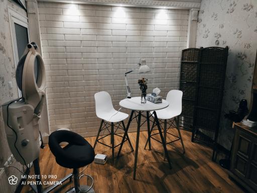 عکس مزون و زیبایی رز سفید 