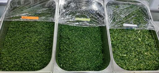 سبزیجات اماده آوین 