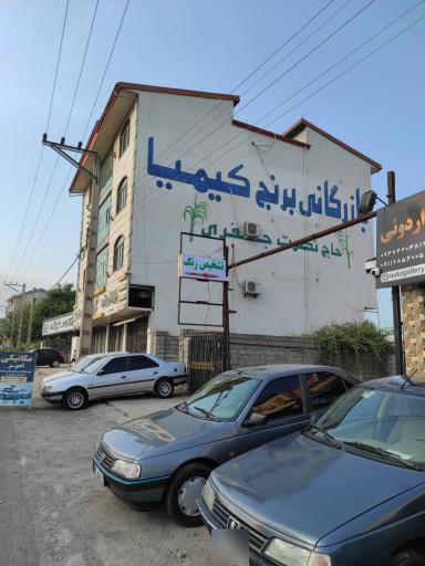 تشخیص رنگ سیّد