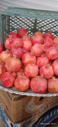 عکس آبمیوه و آبلیمو طبیعی ارشاد