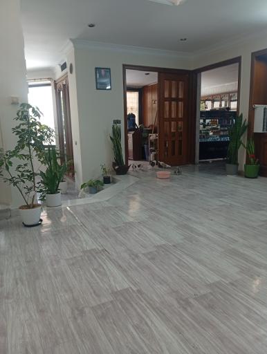 عکس باشگاه بدنسازی شارک