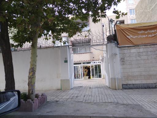 عکس پت شاپ هیوا