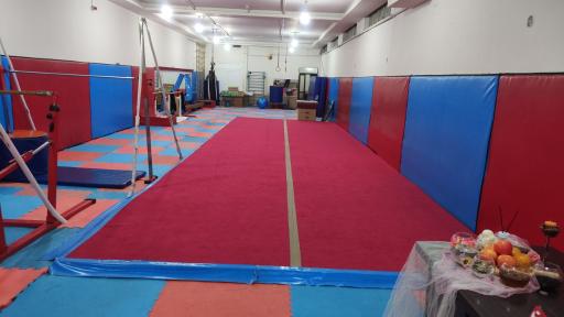 عکس باشگاه تخصصی ستاره های ژیمناستیک