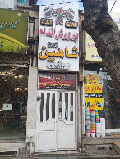 باشگاه ورزشی شاهین