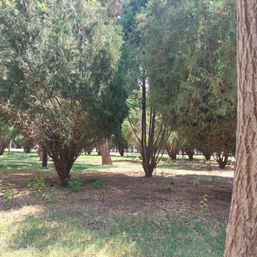 عکس بوستان سپاهان شهر