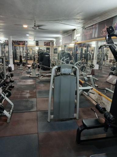 عکس باشگاه ورزشی شاهین