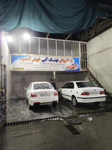 عکس کارواش نهنگ آبی