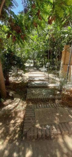 عکس باغ مزار شیخ جام