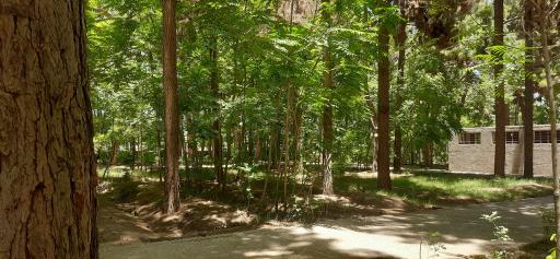 عکس باغ مزار شیخ جام